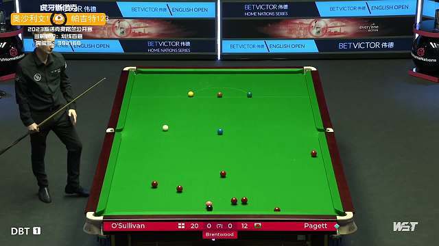 勒沃库森在 勒沃库森在